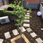 Dachgarten nach der Bearbeitung und Pflege von Garten Leopold